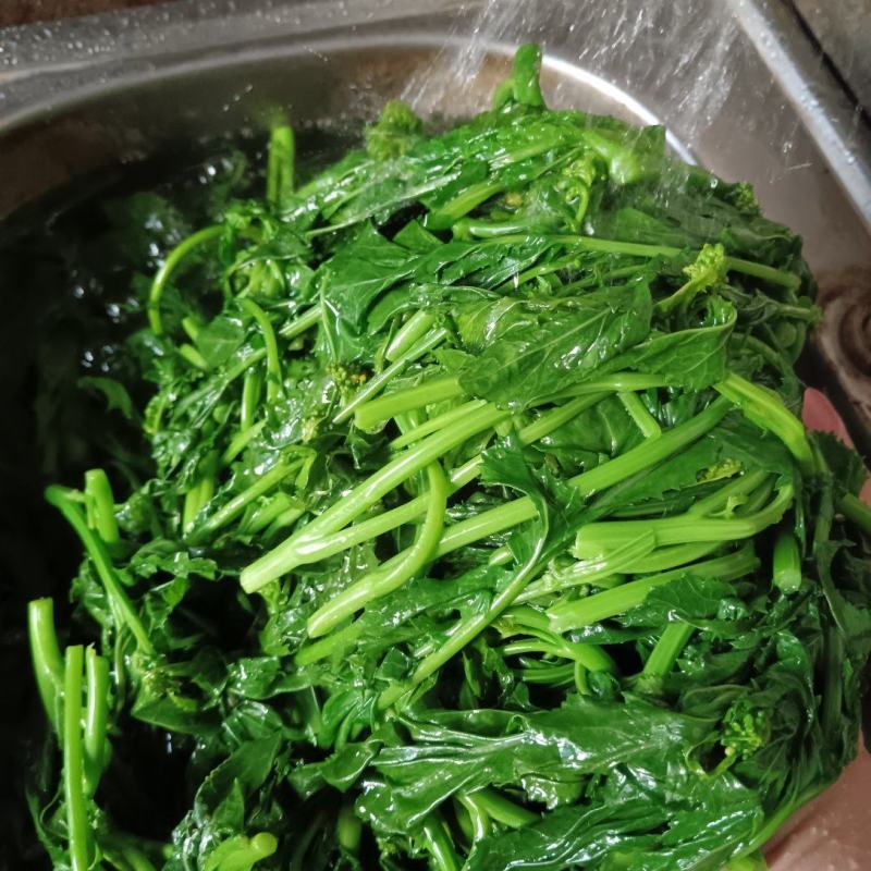 天妃芽