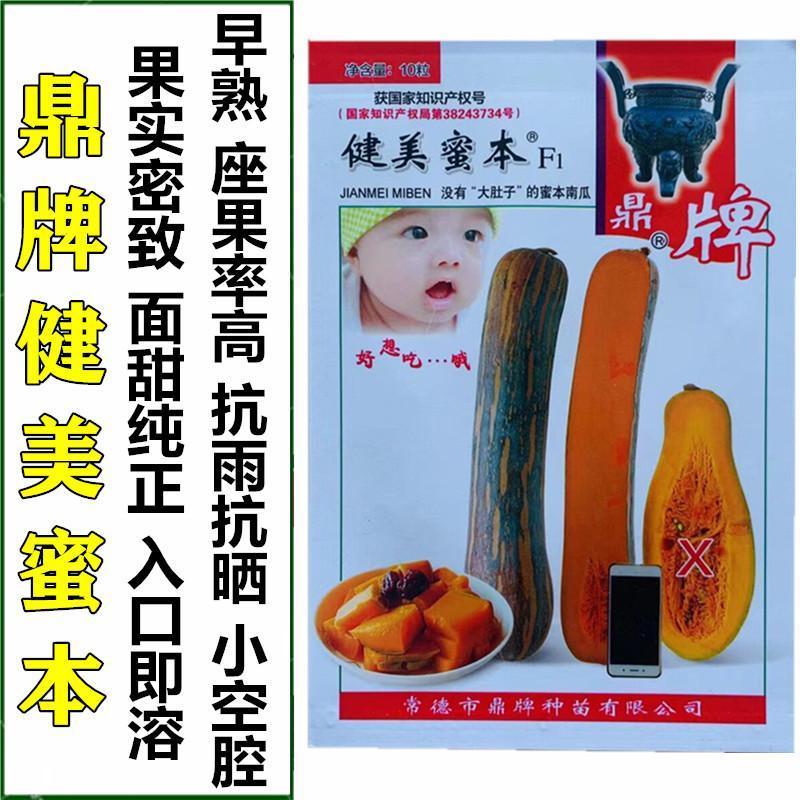 健美蜜本南瓜种子鼎牌超甜粉面蜜本南瓜种子南瓜籽早熟