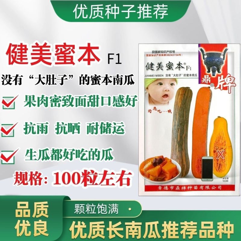 健美蜜本南瓜种子鼎牌超甜粉面蜜本南瓜种子南瓜籽早熟