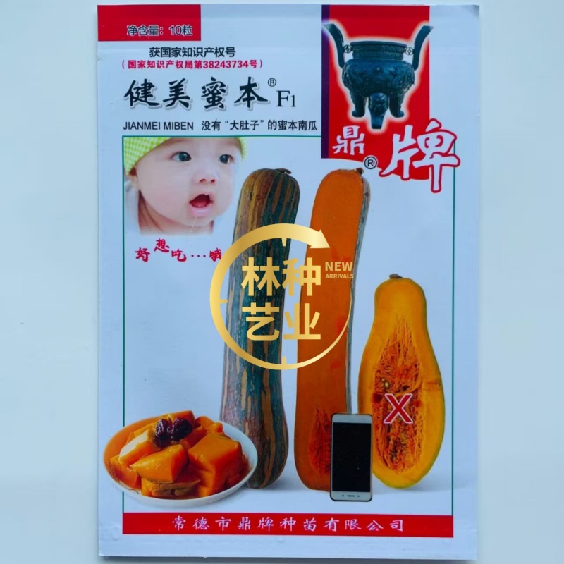 健美蜜本南瓜种子鼎牌超甜粉面蜜本南瓜种子南瓜籽早熟