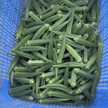 黄秋葵
