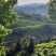 高山云雾茶