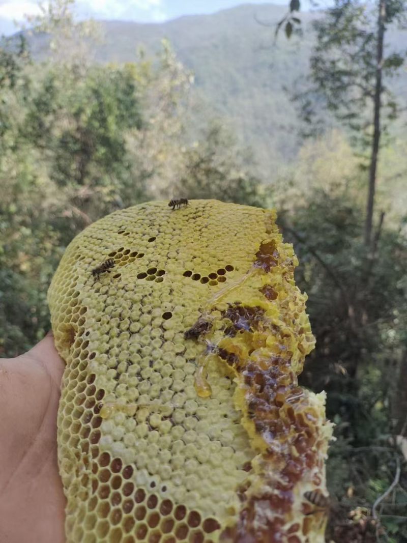 蜂蜜