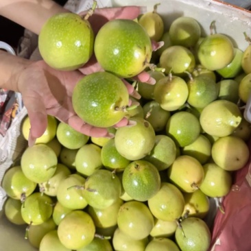 百香果