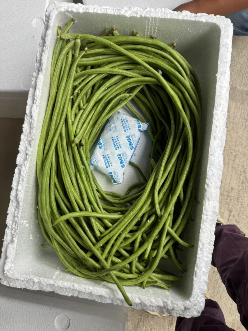 云南西双版纳新鲜豆角长豆角豇豆，