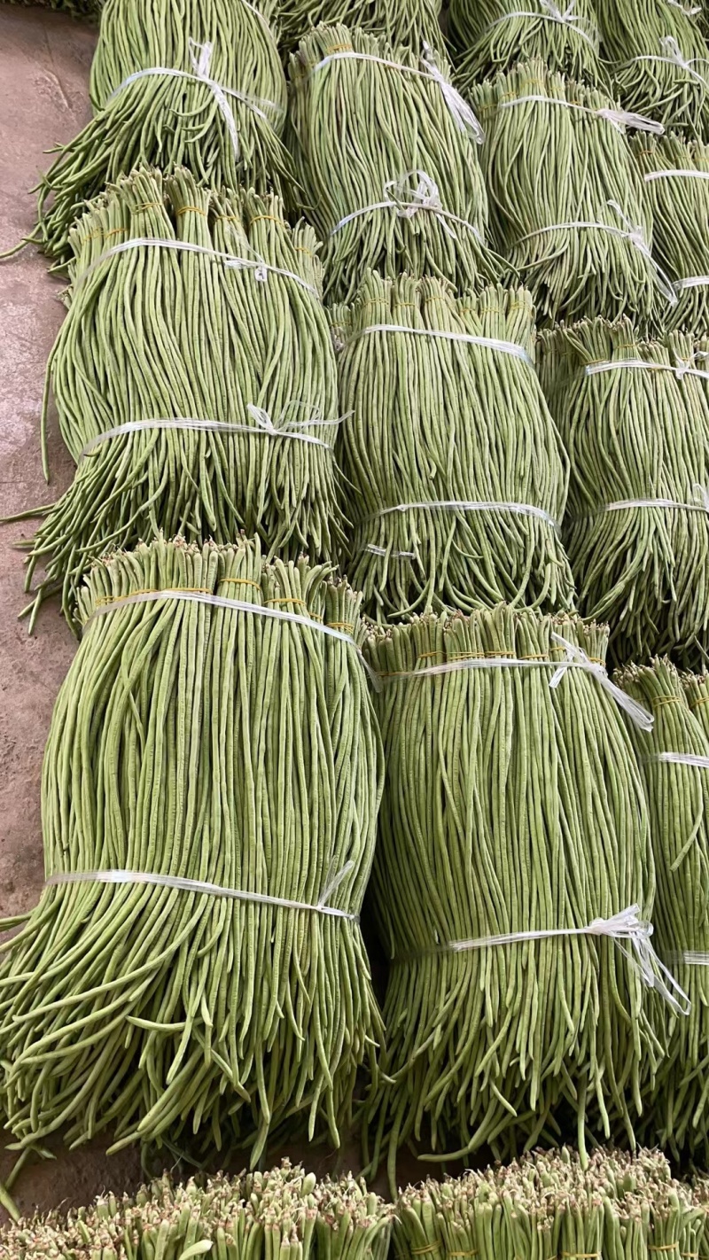 云南西双版纳新鲜豆角长豆角豇豆，