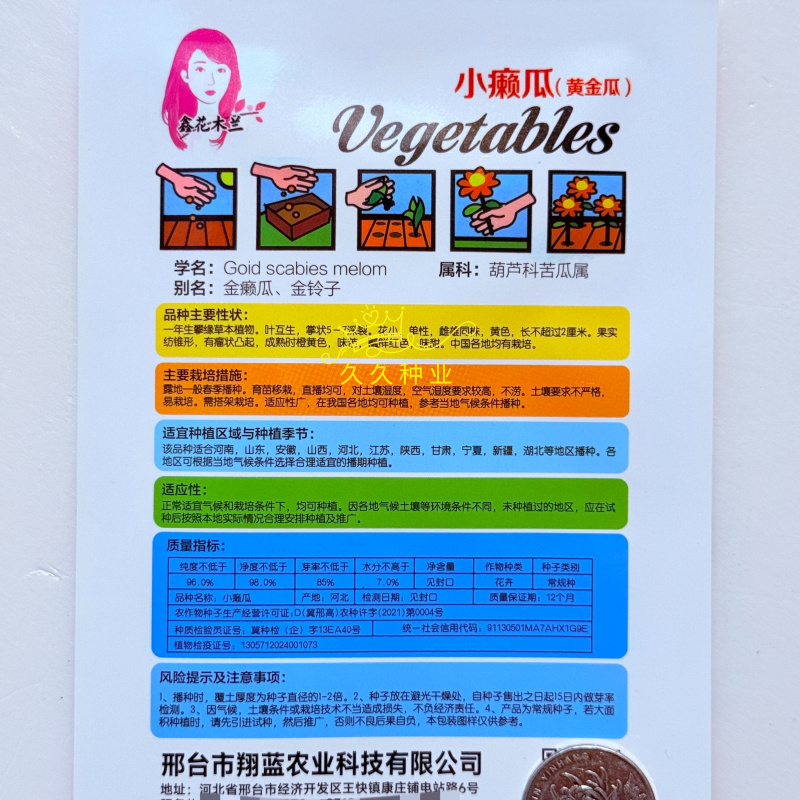 小濑瓜种子盆栽赖癞葡萄金铃子红娘刺癞甜心果蔬菜种孑