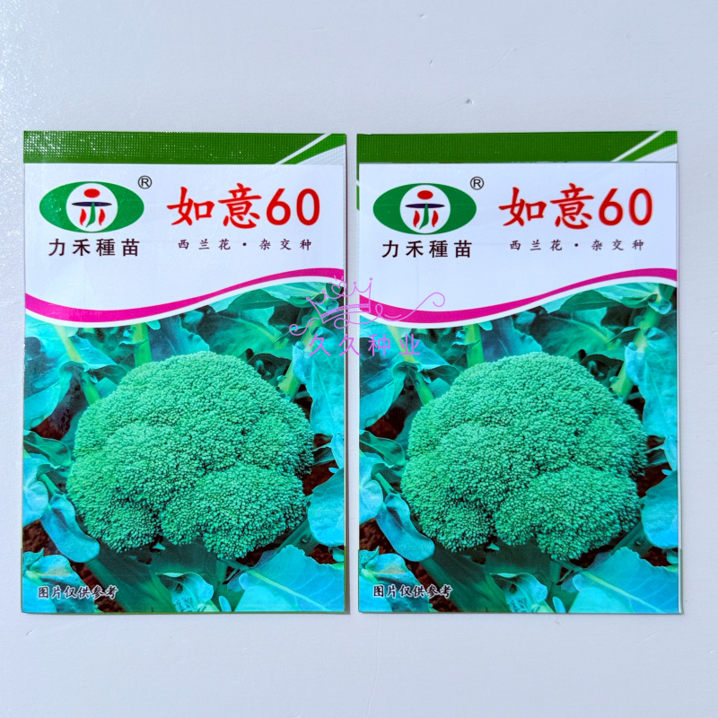 如意60西兰花种子花菜种籽青梗松散型花椰菜种籽孑农家易种