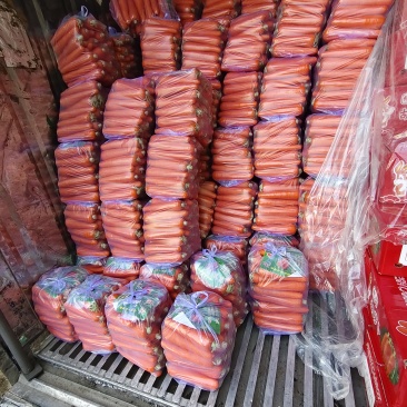 精品胡萝卜
