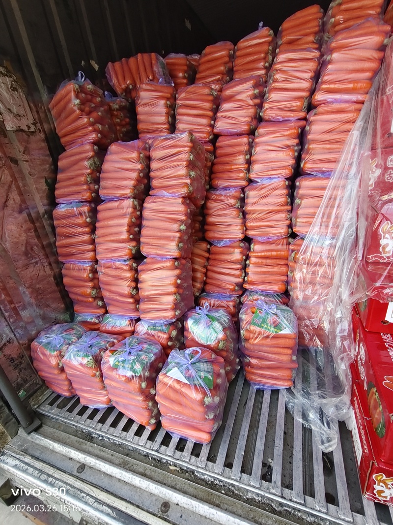 精品胡萝卜