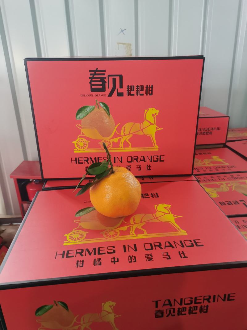 春见耙耙柑