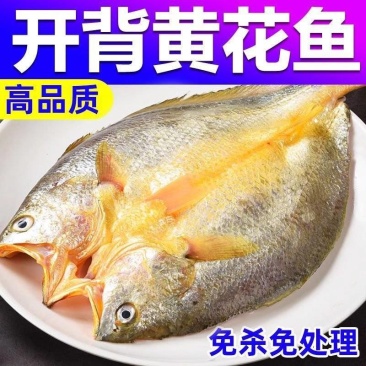 0.7-1斤开背大黄鱼