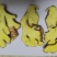 云南小黄姜1.5一斤（600米海拔在地）
