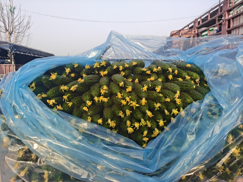 食堂货通货精品通通都有