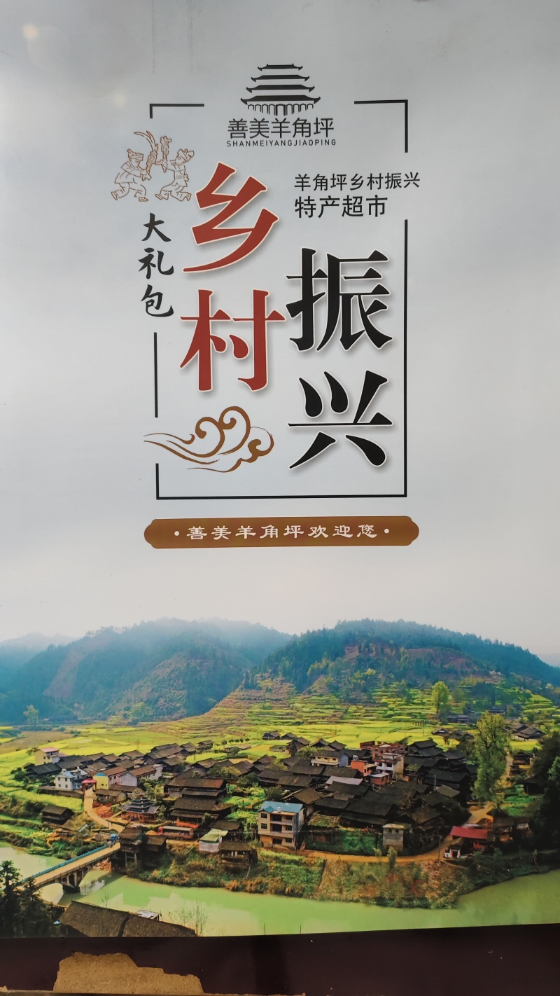 湖南特产怀化会同羊角坪村几万斤野生山茶油古法压榨地道高品