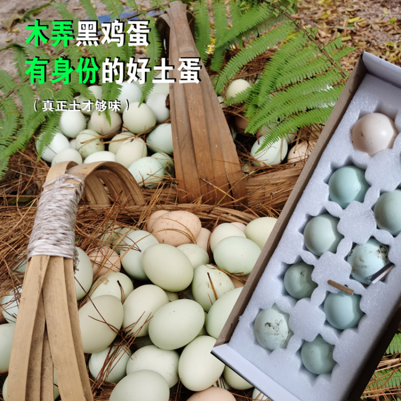 贵州农家散养正宗木弄黑鸡绿壳土鸡蛋包邮可生食正品新鲜