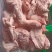 老鸡架