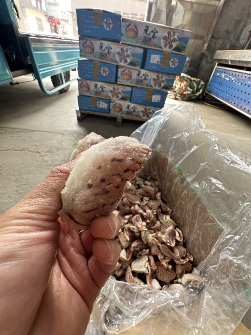 元宝虎纹蟹脚，满肉