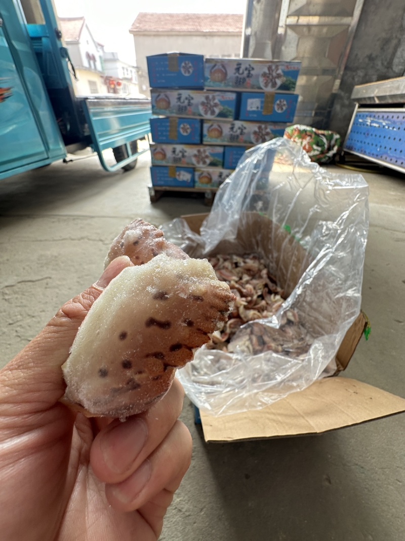 元宝虎纹蟹脚，满肉