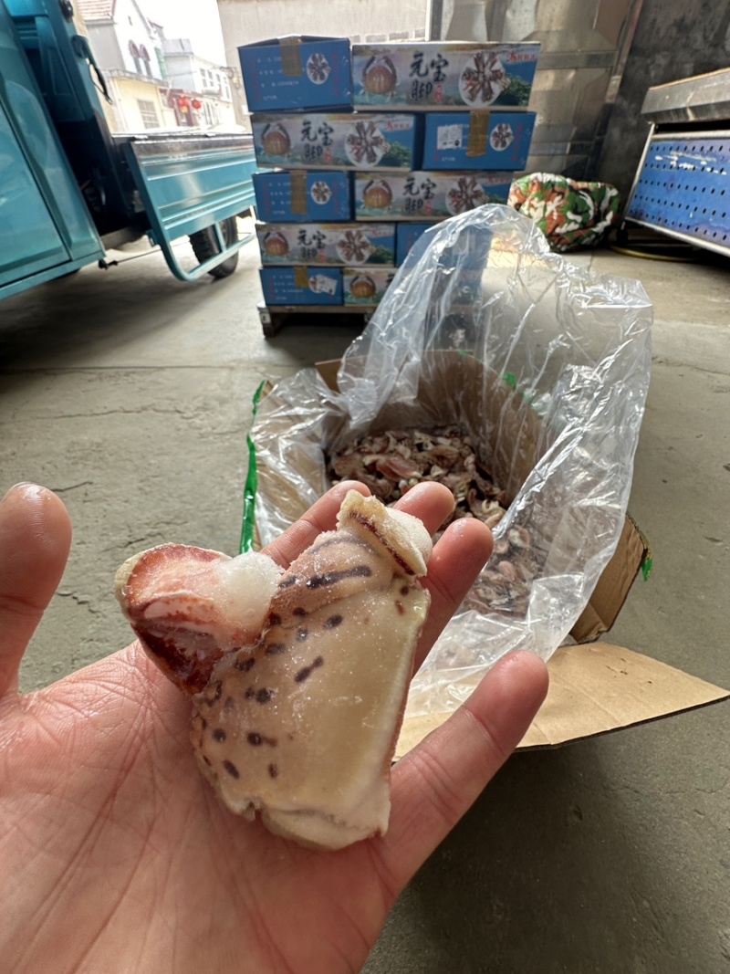 元宝虎纹蟹脚，满肉