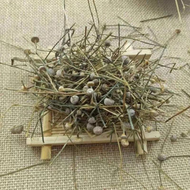 中药材谷精草鱼眼草珍珠草天星草佛顶珠耳朵草谷精珠批发零售