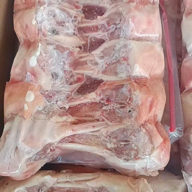 去舌鸭下巴