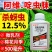 12.5%阿维啶虫脒杀虫剂蚜虫刺吸类害虫虫卵双打正品