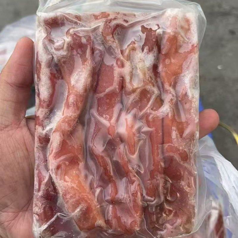 海肠