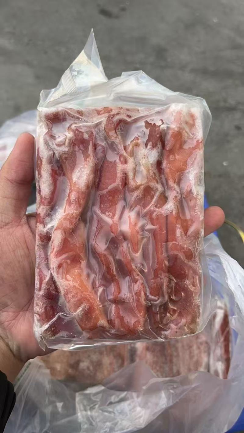 海肠