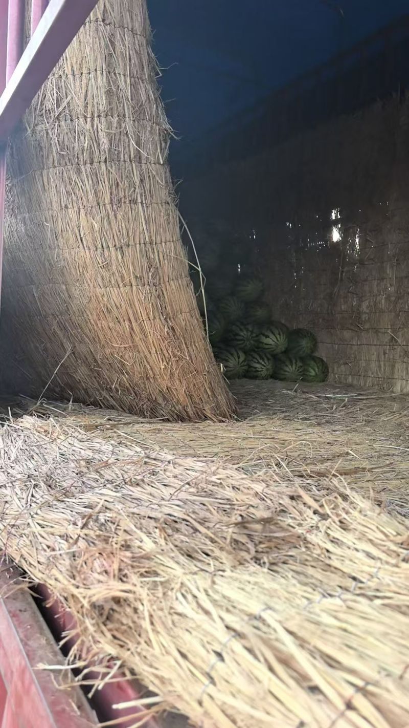 云南甜王西瓜价格美丽清甜可口价格美丽对接全国量大从优热卖