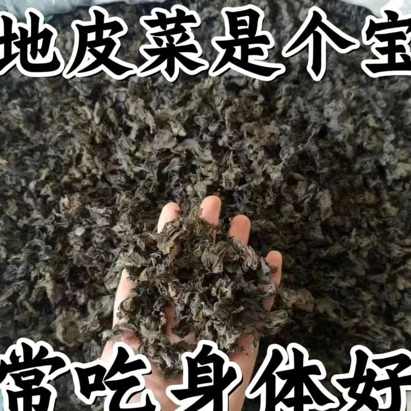 免洗地皮菜/甘肃野菜/干货地软干地达菜/价格便宜