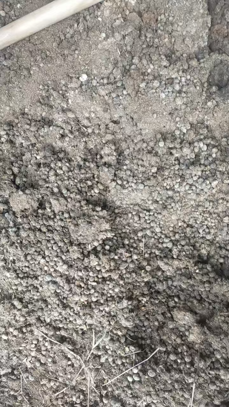 兔粪