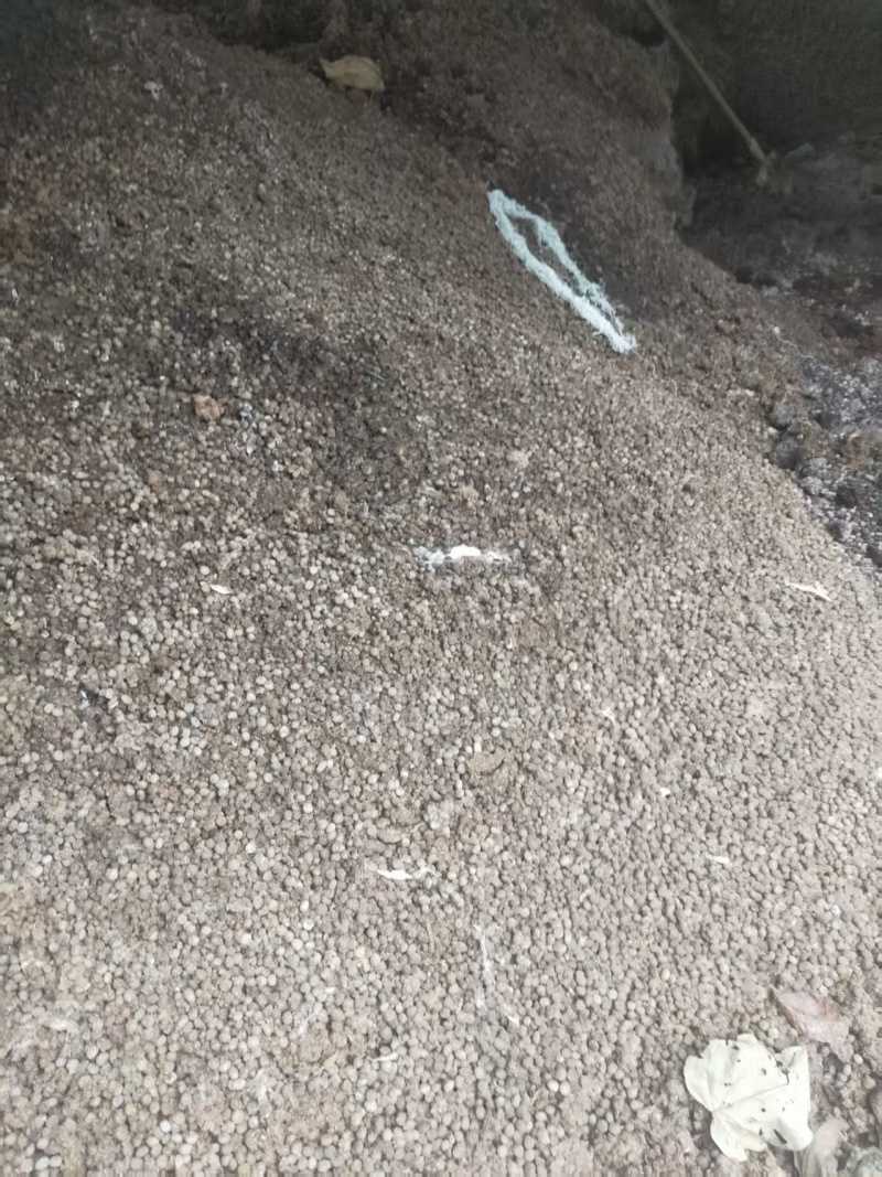 兔粪