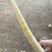 临安精品鲜笋