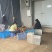 临安精品鲜笋