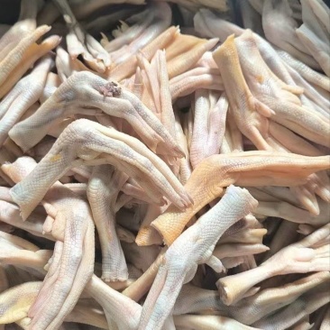 麻鸭掌10吨