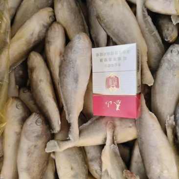 黄花鱼
