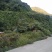 蜂蜜（土蜂蜜，大山深处饲养）