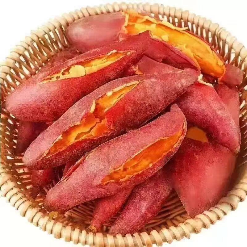 西瓜红红薯广东