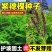 紫穗槐种子护坡固土**耐旱耐贫瘠荒山复垦高速护坡