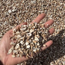 山东菏泽丹皮/货好价格美丽/量大从优欢迎老板下单