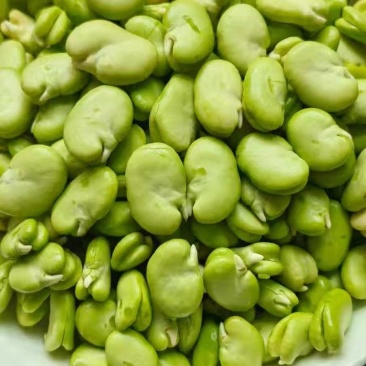 优质豆瓣干净无杂香糯好吃