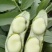 纯豆米农家干蚕豆米颗粒饱满