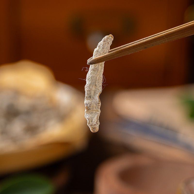 精选白僵蚕中药材僵蚕白僵蚕粉白僵虫天虫正品正宗批发零售