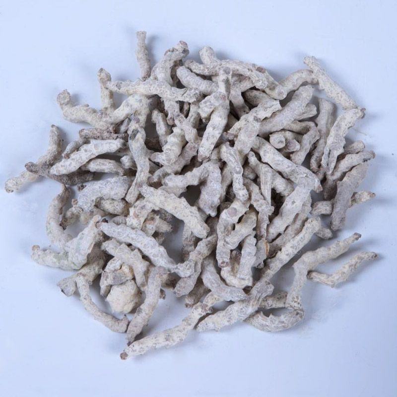 精选白僵蚕中药材僵蚕白僵蚕粉白僵虫天虫正品正宗批发零售