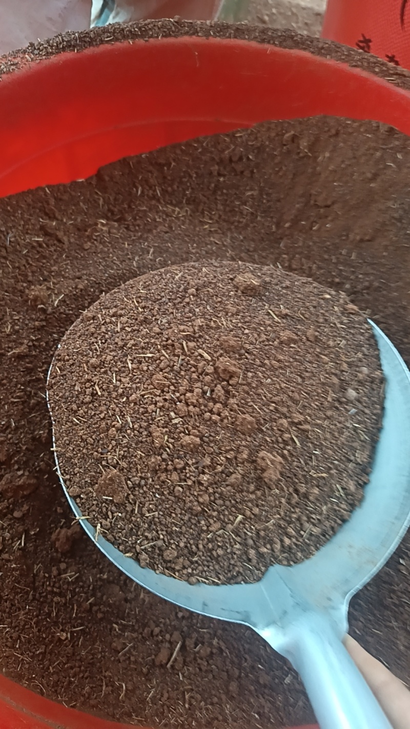 湖南精品茶粕杀杂鱼福寿螺田螺不伤虾蟹茶皂素含量高效果显著