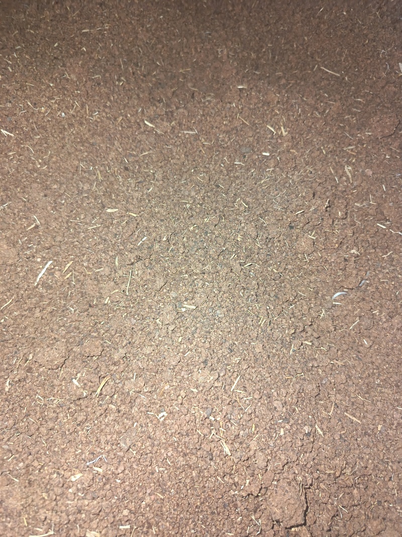湖南精品茶粕杀杂鱼福寿螺田螺不伤虾蟹茶皂素含量高效果显著