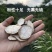 江西野生粉防己片正宗粉性足防己大货中药材批发零售