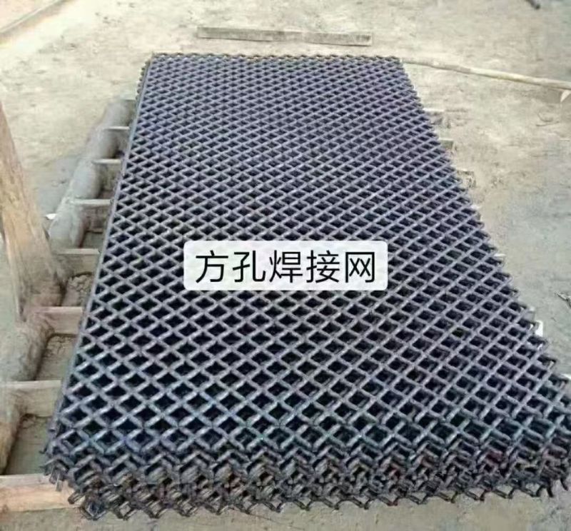 筛网