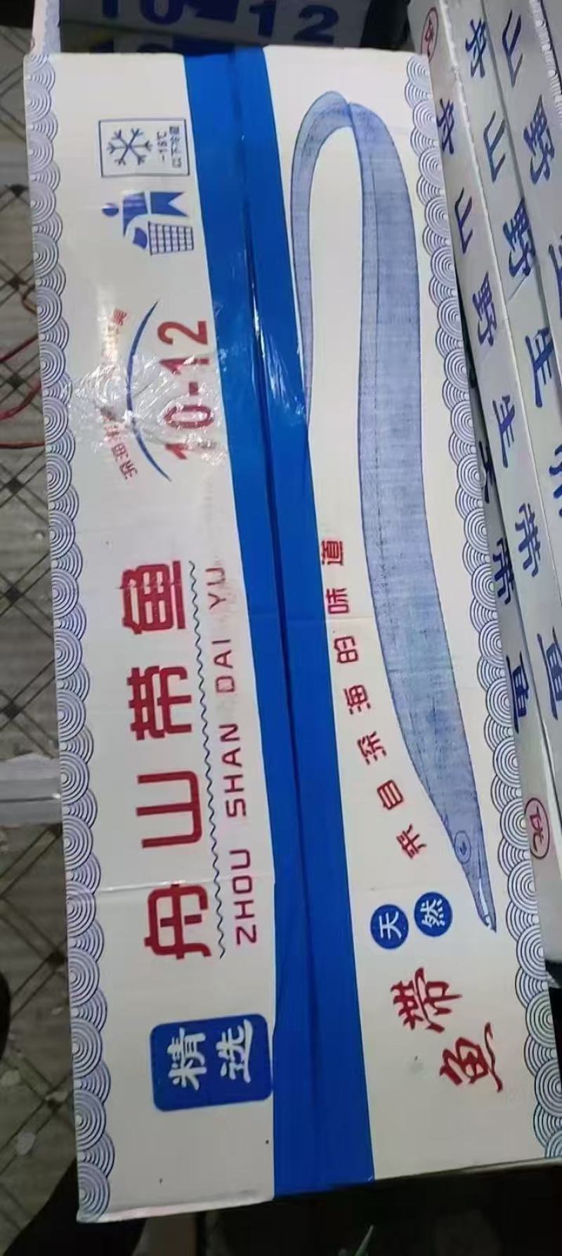 精品舟山带鱼
